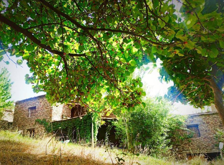 Chalé Cortijo Rural El Albercon - - Alpujarra Rural