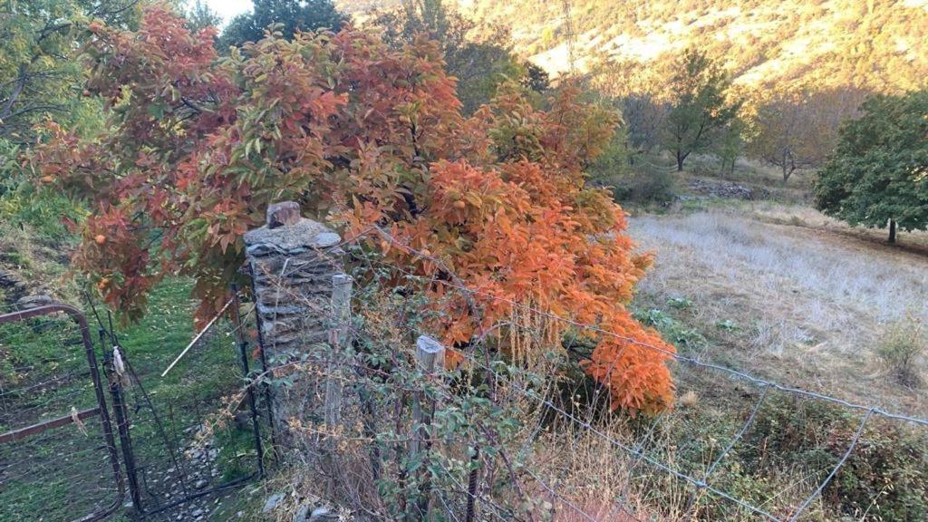 Chalé Cortijo Rural El Albercon - - Alpujarra Rural Capileira