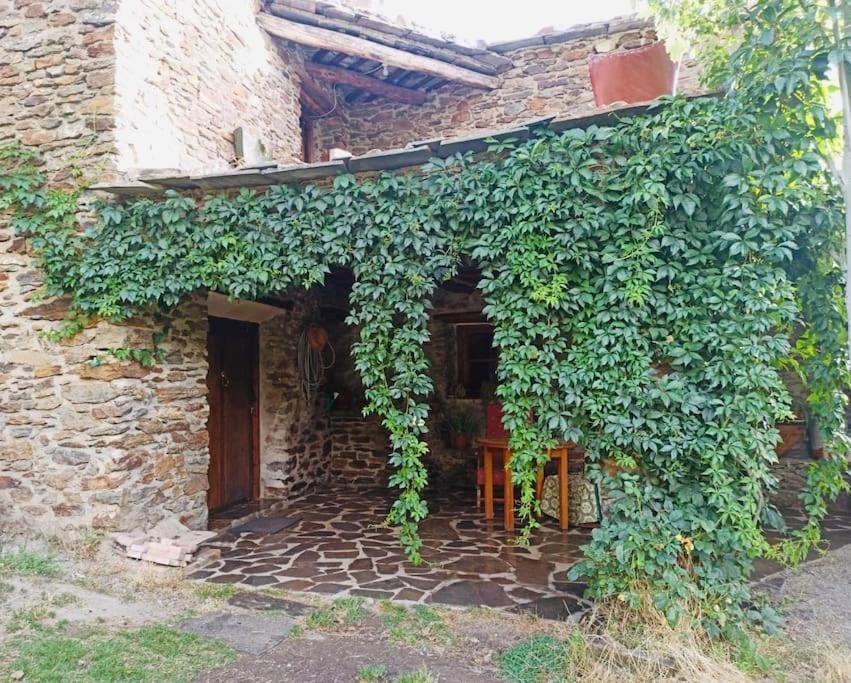 Cortijo Rural El Albercon - - Alpujarra Rural Chalet