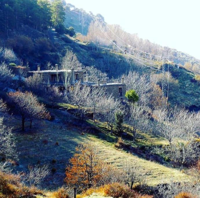 Cortijo Rural El Albercon - - Alpujarra Rural Chalet