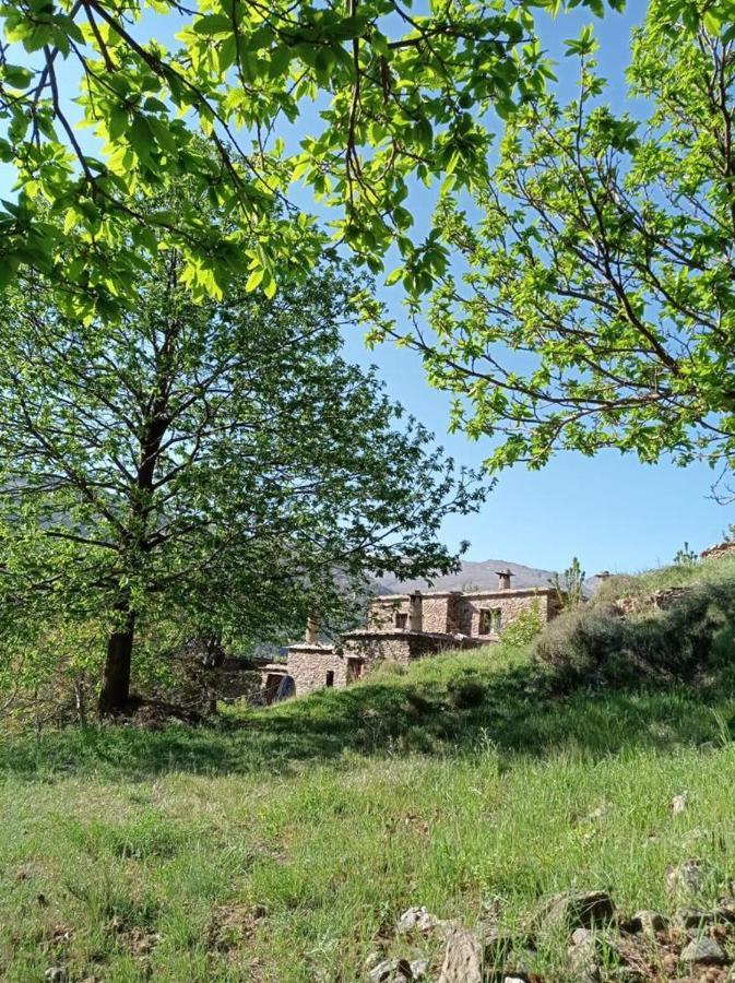Cortijo Rural El Albercon - - Alpujarra Rural Chalet