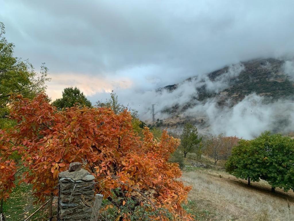 Cortijo Rural El Albercon - - Alpujarra Rural Capileira