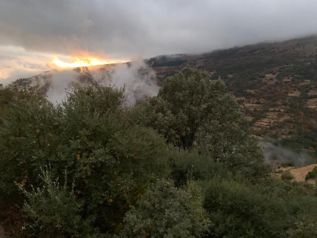 Chalet Cortijo Rural El Albercon - - Alpujarra Rural *
