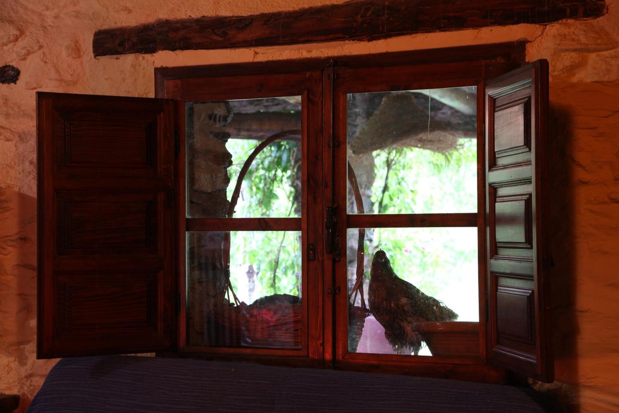 Chalet Cortijo Rural El Albercon - - Alpujarra Rural Capileira