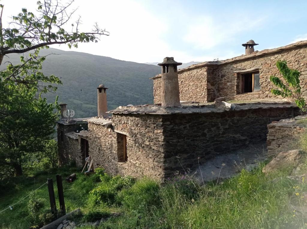 Cortijo Rural El Albercon - - Alpujarra Rural